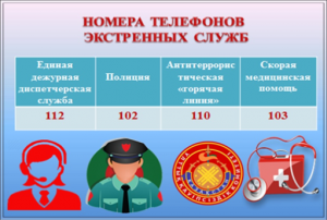 antiterror_1_w300_h202.png